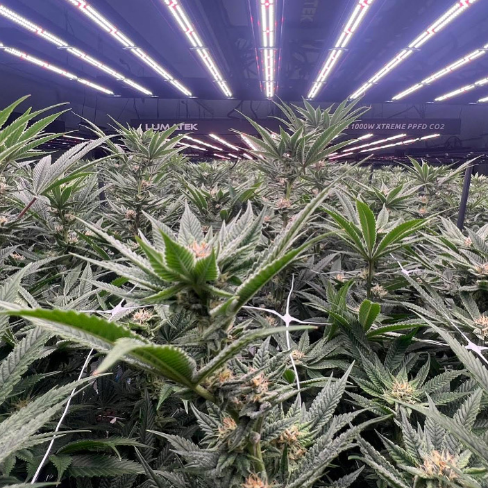 20250701_033522000_iOS