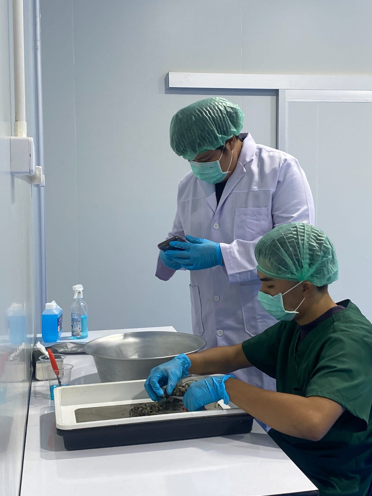 WhatsApp Image 2025-10-04 at 07.58.26_6008cde8